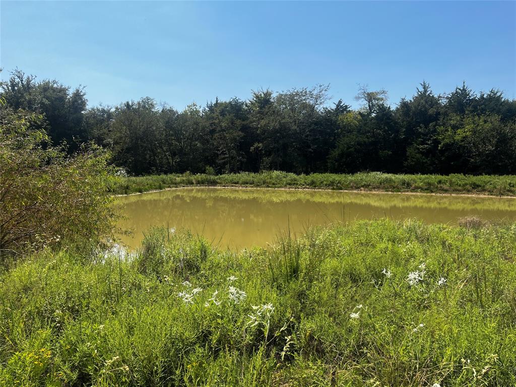 WARD JEREMIAH - Residential