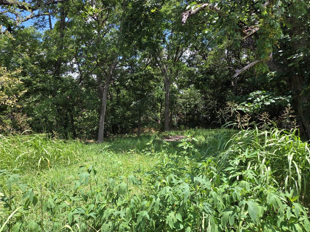 A1018 J P Simpson - Land