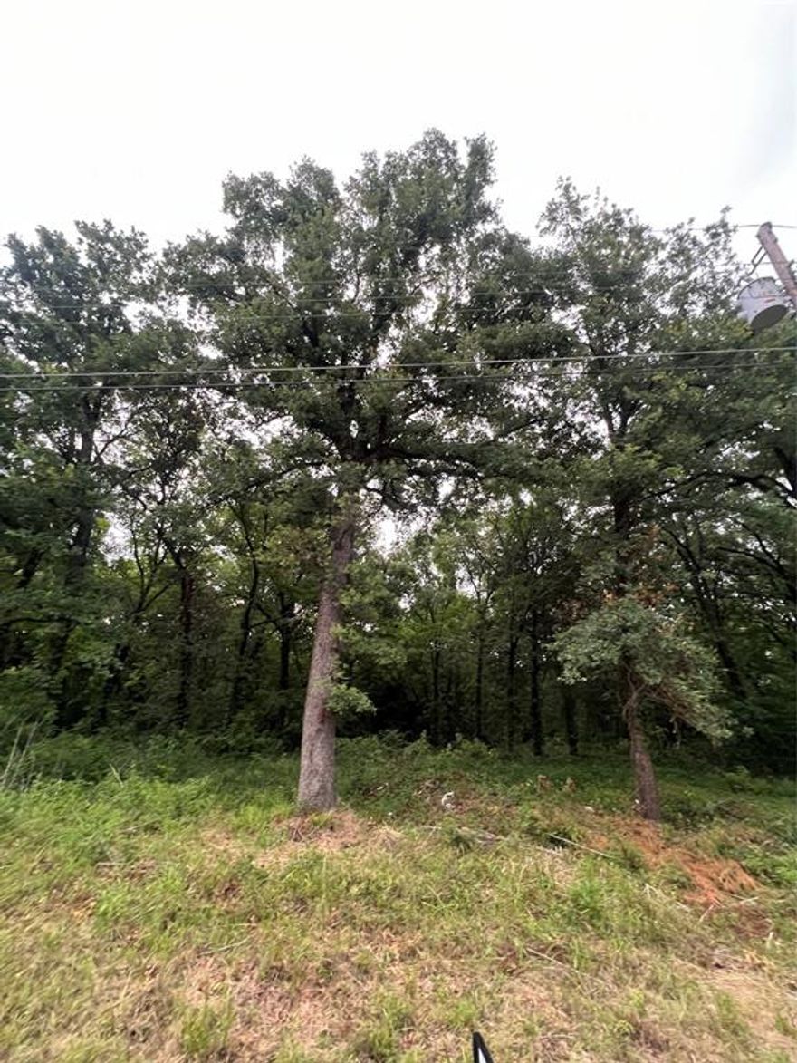 This lot is located next to 117 Inca Trail and it's being sold together. Perfect for the new build or mobile home with plenty of lot space. Located in Indian Harbor. Go and show. There is a survey available for both lots.