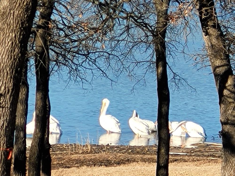 Silver Lakes Ranch - Land
