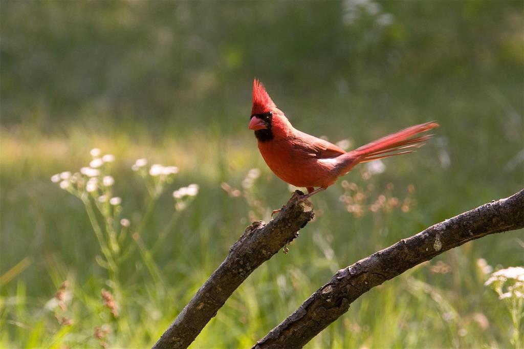 Silver Lakes Ranch - Land