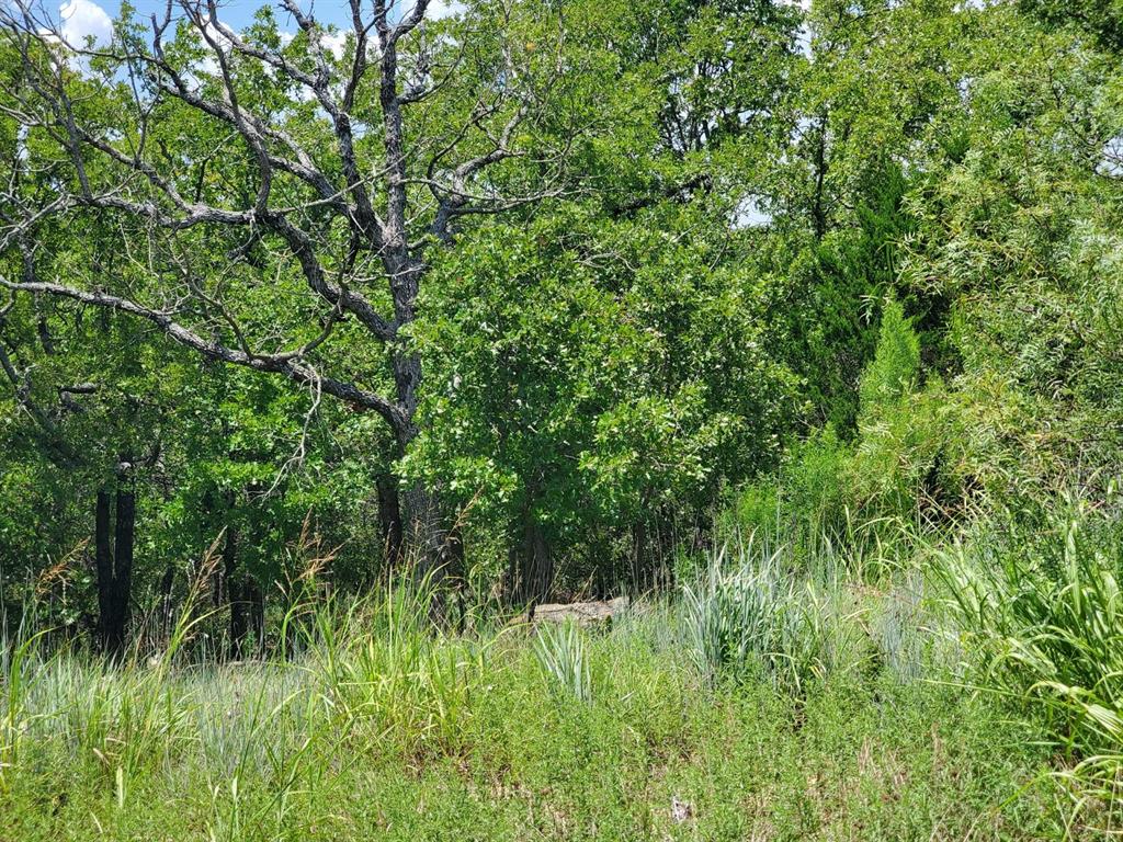 Silver Lakes Ranch - Land