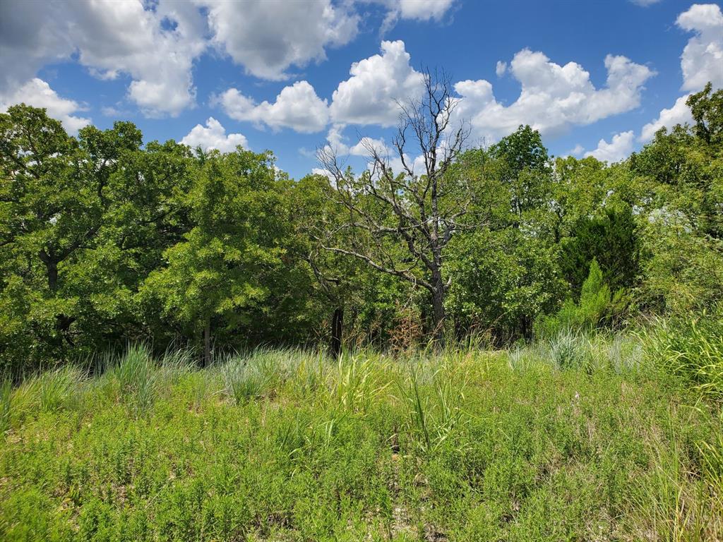 Silver Lakes Ranch - Land