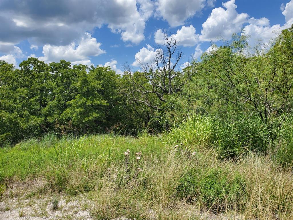 Silver Lakes Ranch - Land