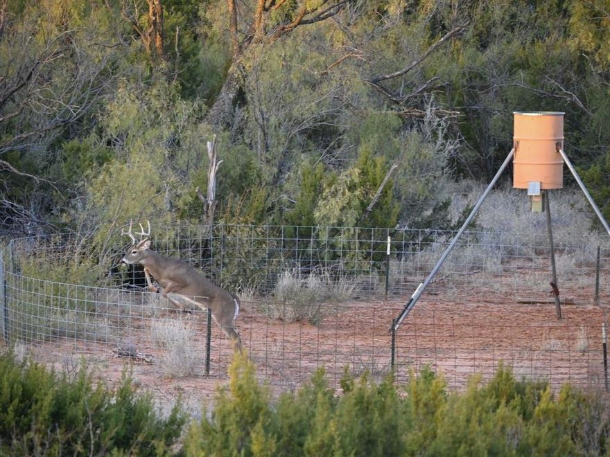 Remote, quiet, and private – this 319.17-acre ranch between Lubbock and Wichita Falls has everything you are looking for in your next ranch. This property has access from a quiet country road, no nearby neighbors, rolling terrain with several flat spots for building, and two seasonal creeks. Use this land as your private hunting retreat, raise your own livestock here, or lease the land to a neighbor for grazing to take advantage of agriculture exemption property taxes. With no flood zone and no restrictions, you are only limited by your imagination here.