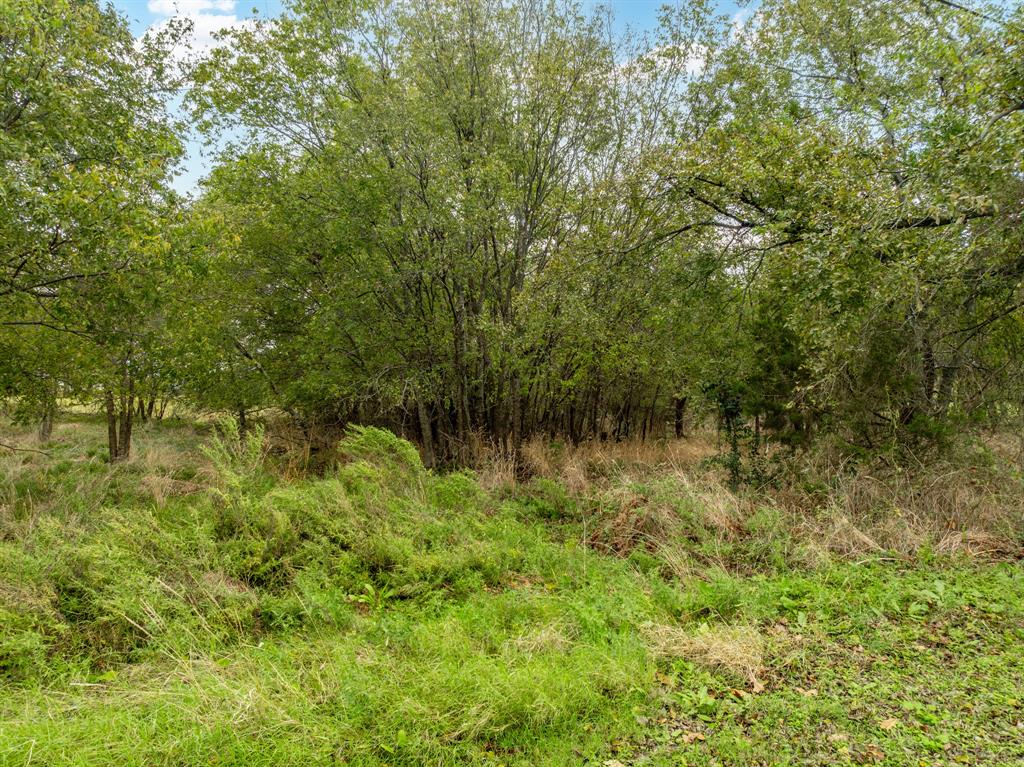 White Bluff #27 - Land