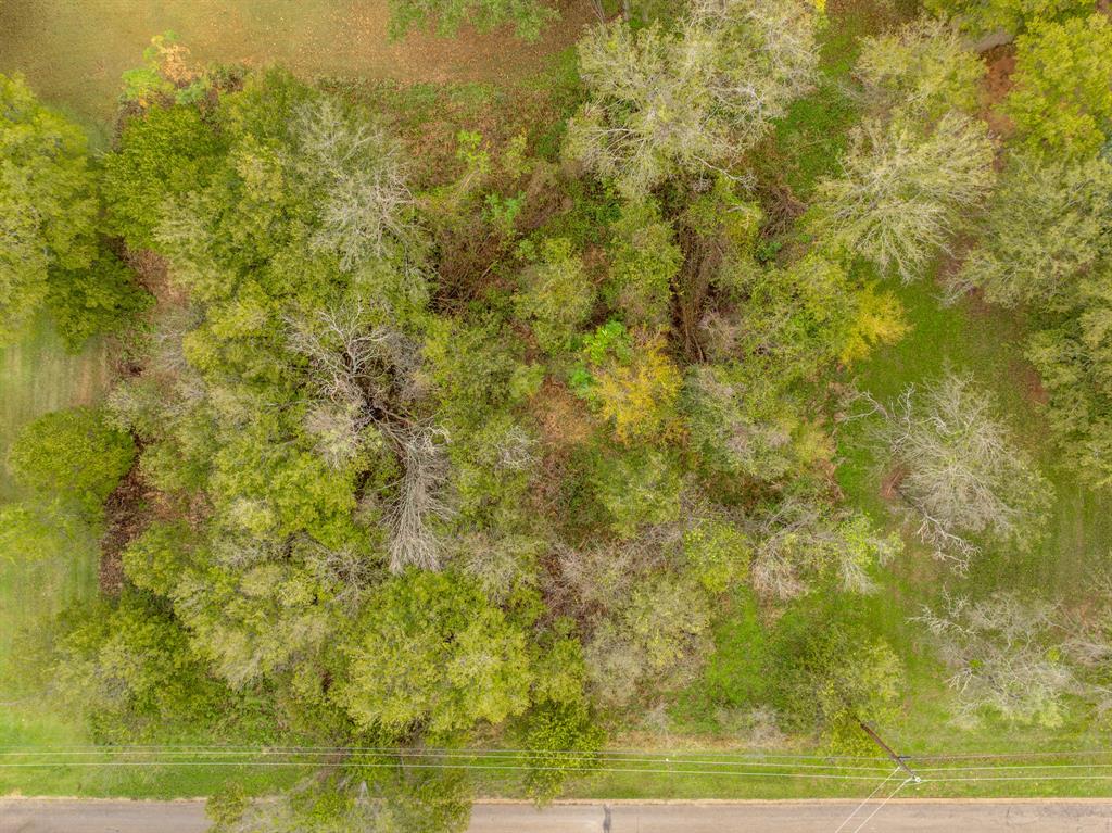 White Bluff #27 - Land