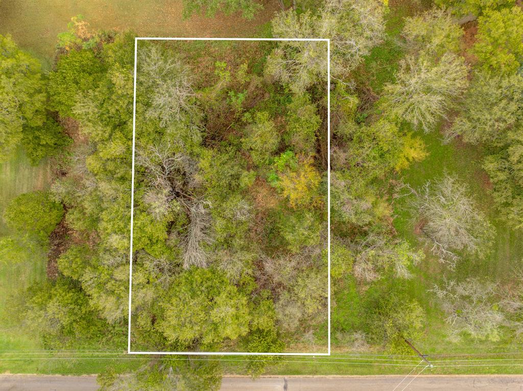 White Bluff #27 - Land