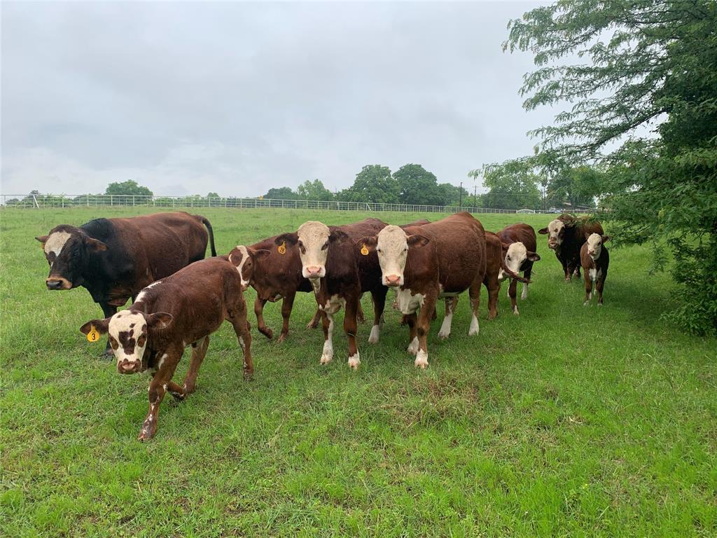 John D Merchant ABST - Farm