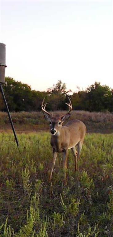 1800 County Road 479