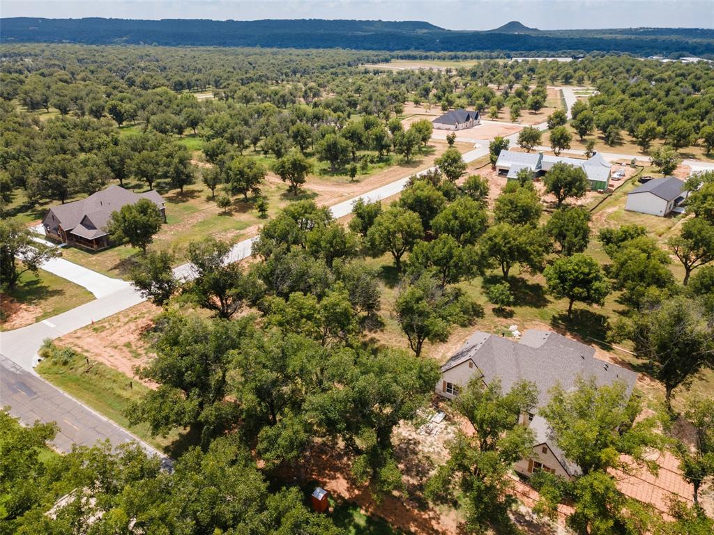 Pecan Plantation - Land