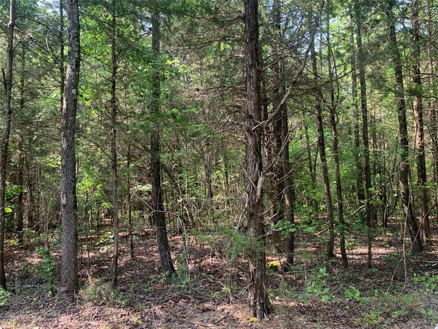 Approx 5 acres of wooded land north of Mt. Pleasant! Perfect size to clear and build your dream home.  County water is available, but not guaranteed.