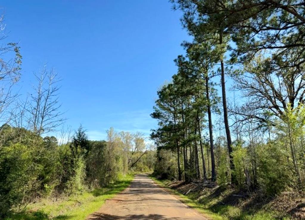 TBD County Road 1619