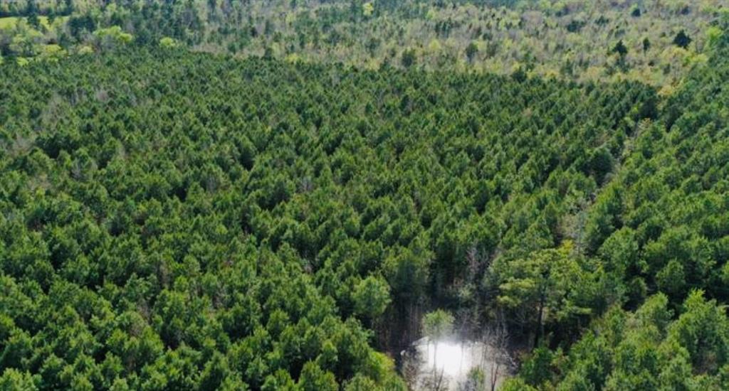 TBD County Road 1619