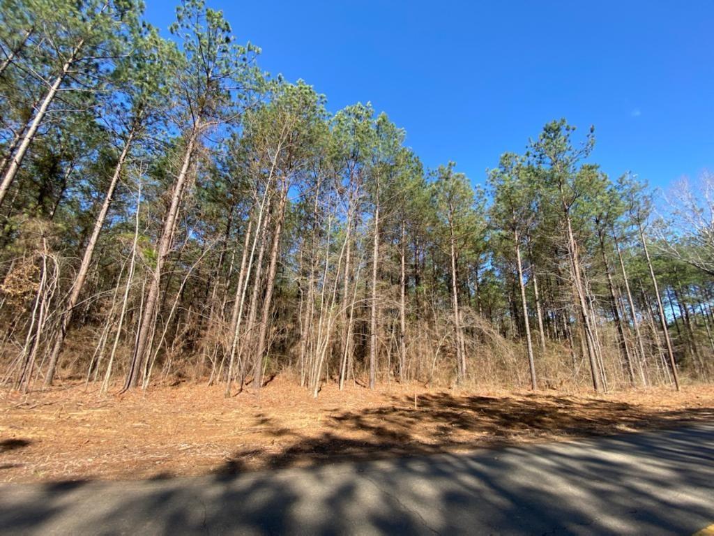 Bellevue Plantation - Land