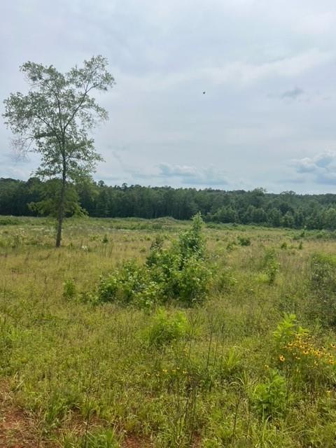 280 Martin Road