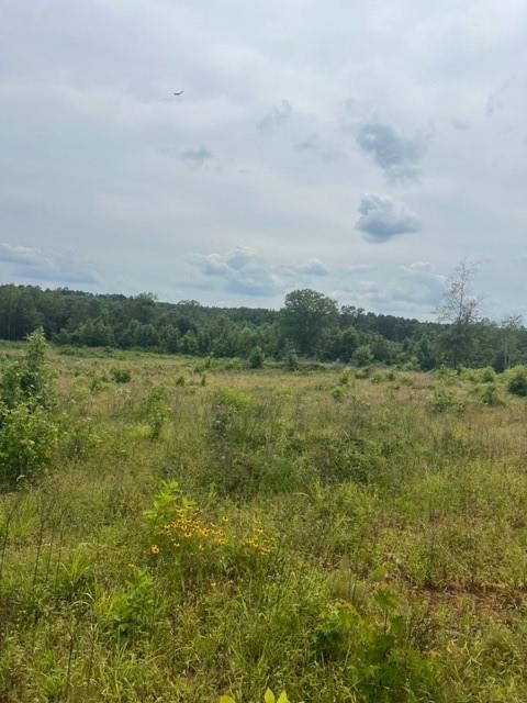 280 Martin Road
