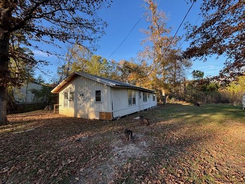 Photo of 225 County Road 4090 N, Woodville, TX 75979 (MLS # 21132199)