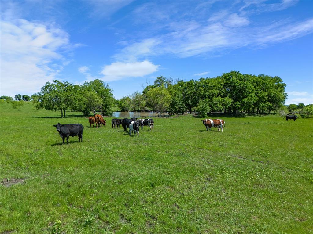 TBD - Commercial Sale