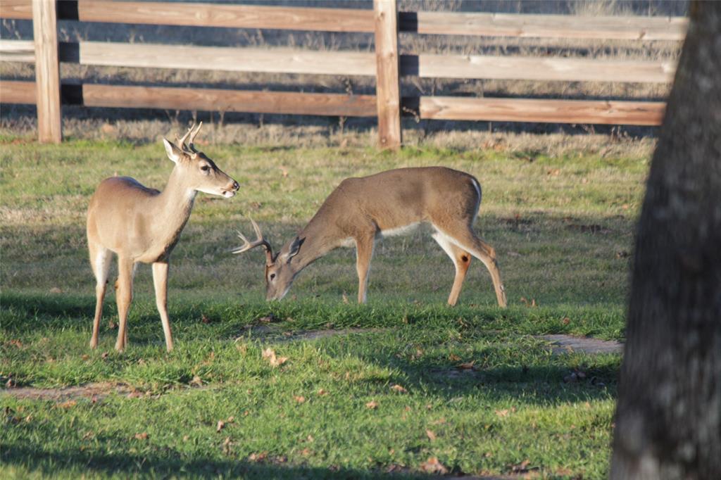 Anding, George - Farm