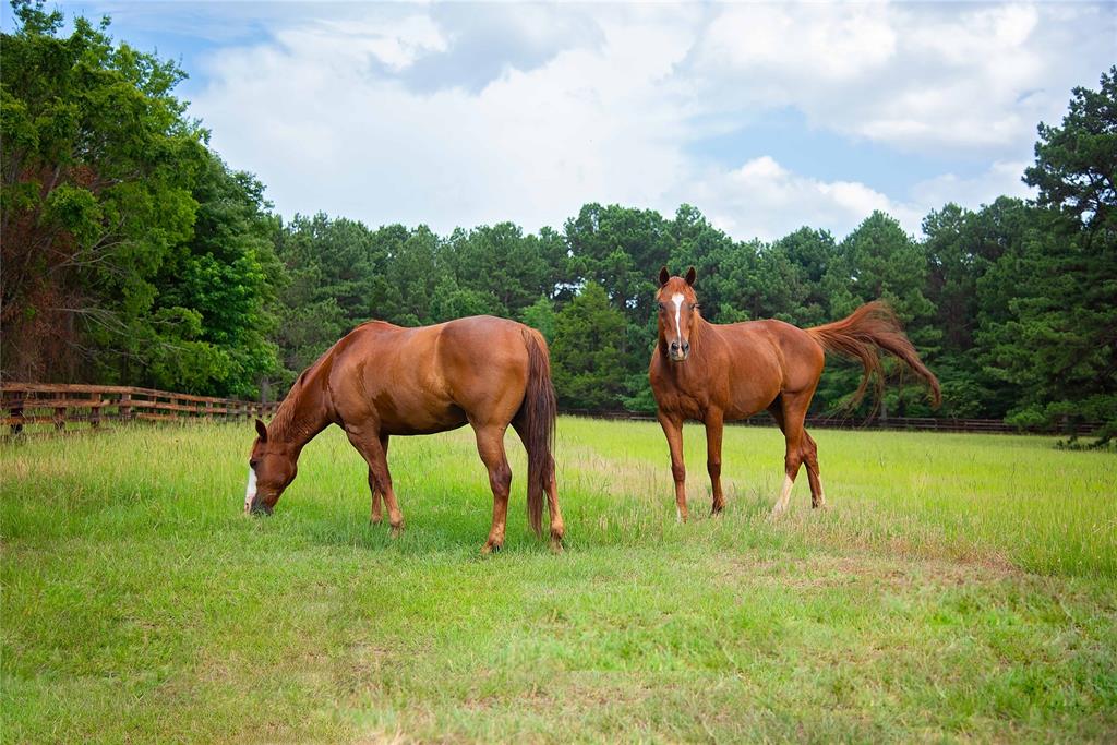 Anding, George - Farm