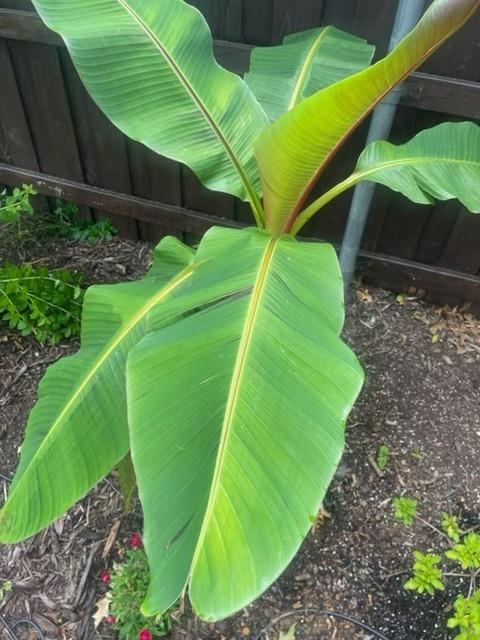 Lakeview At Point Vista Ph 1 - Residential