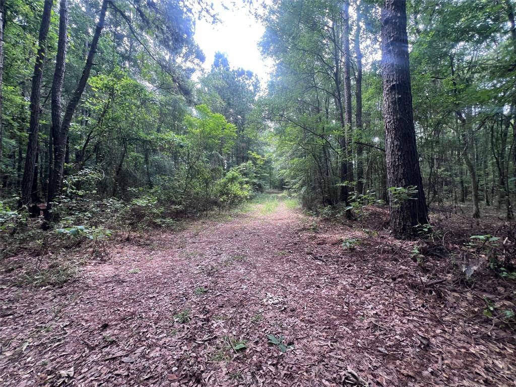 3245 Old Plain Dealing Road