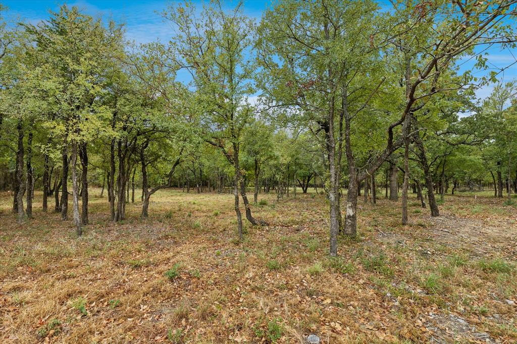 8949 Indian Knoll Trail