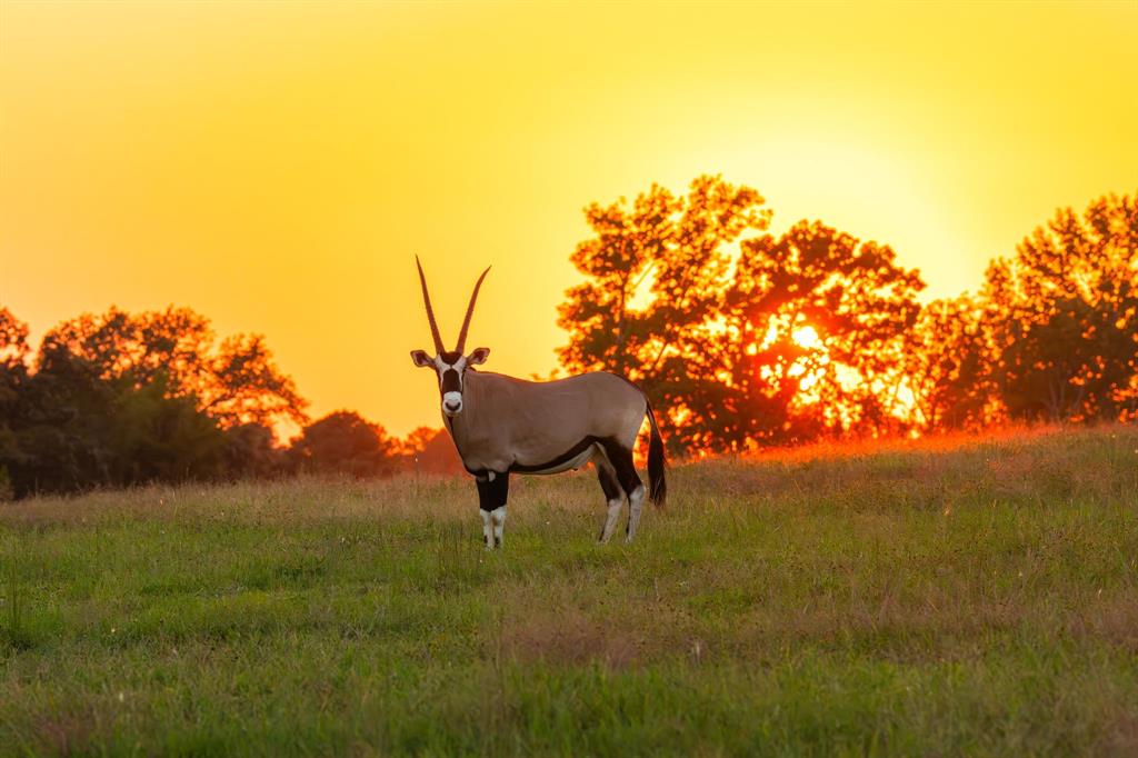 10326 County Road 3112 N