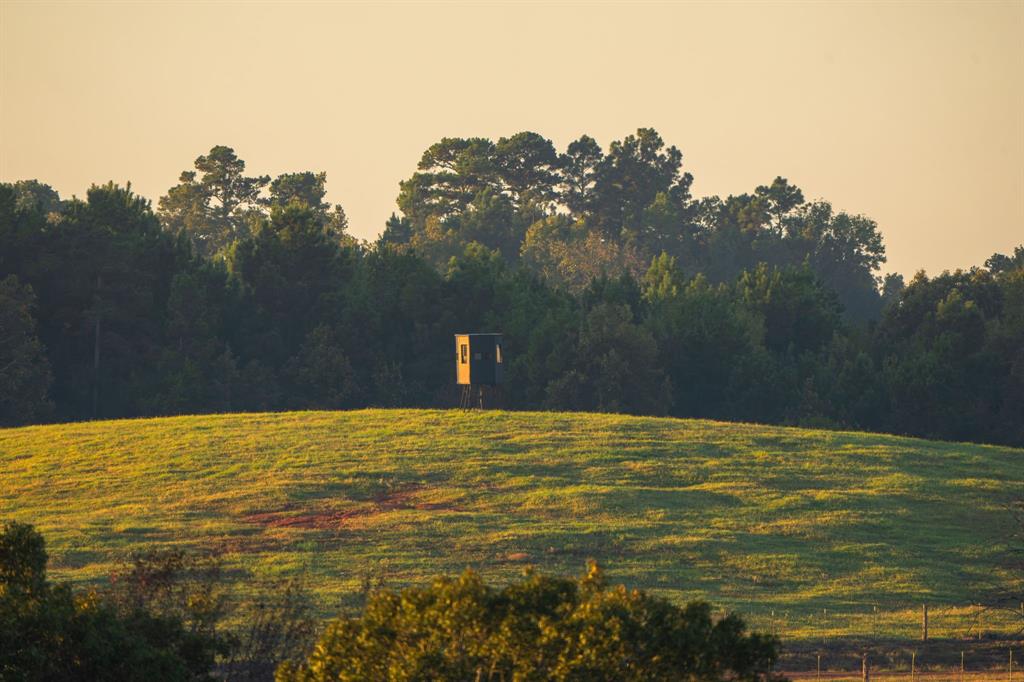 A100866 - A0866 G SLAUGHTER - Farm