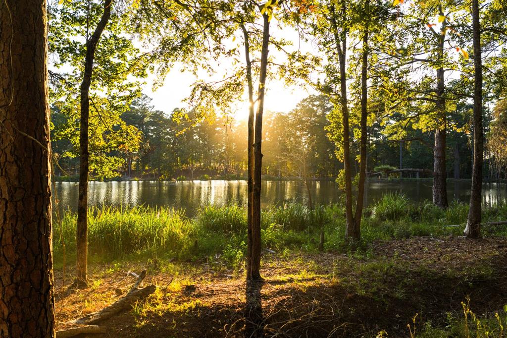 A100866 - A0866 G SLAUGHTER - Farm