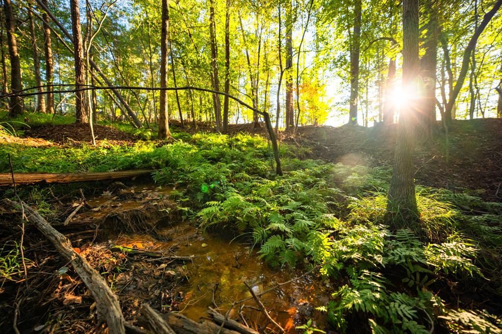 A100866 - A0866 G SLAUGHTER - Farm