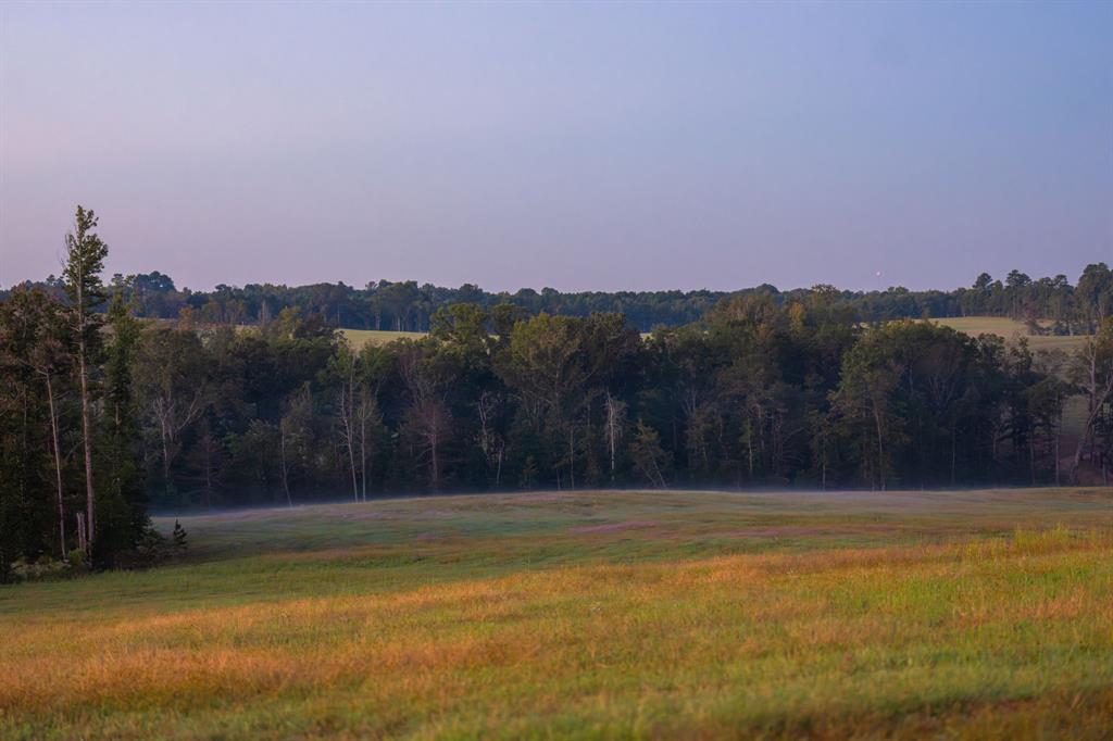 A100866 - A0866 G SLAUGHTER - Farm