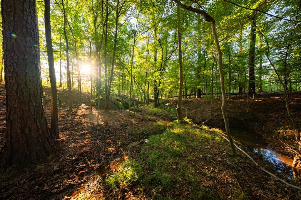 A100866 - A0866 G SLAUGHTER - Farm