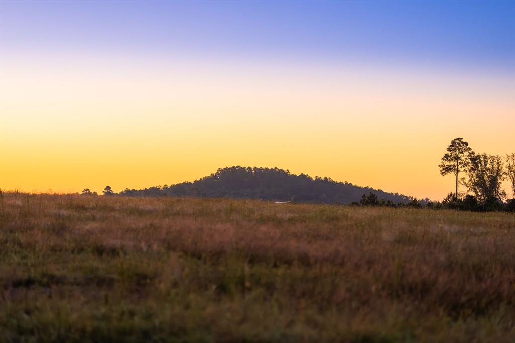 A100866 - A0866 G SLAUGHTER - Farm