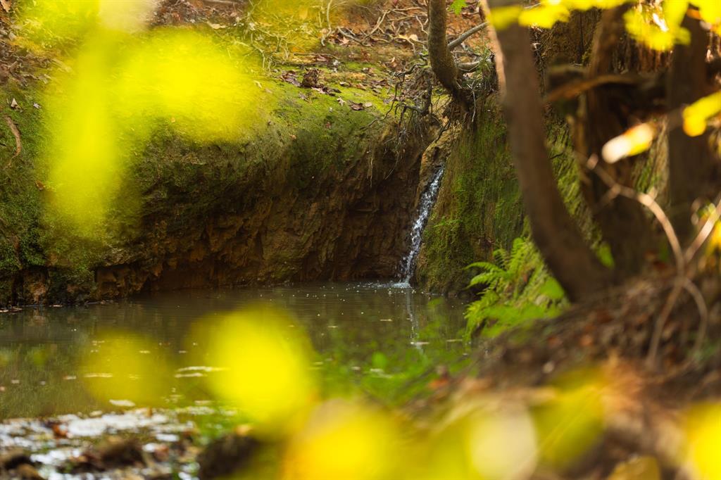 A100866 - A0866 G SLAUGHTER - Farm