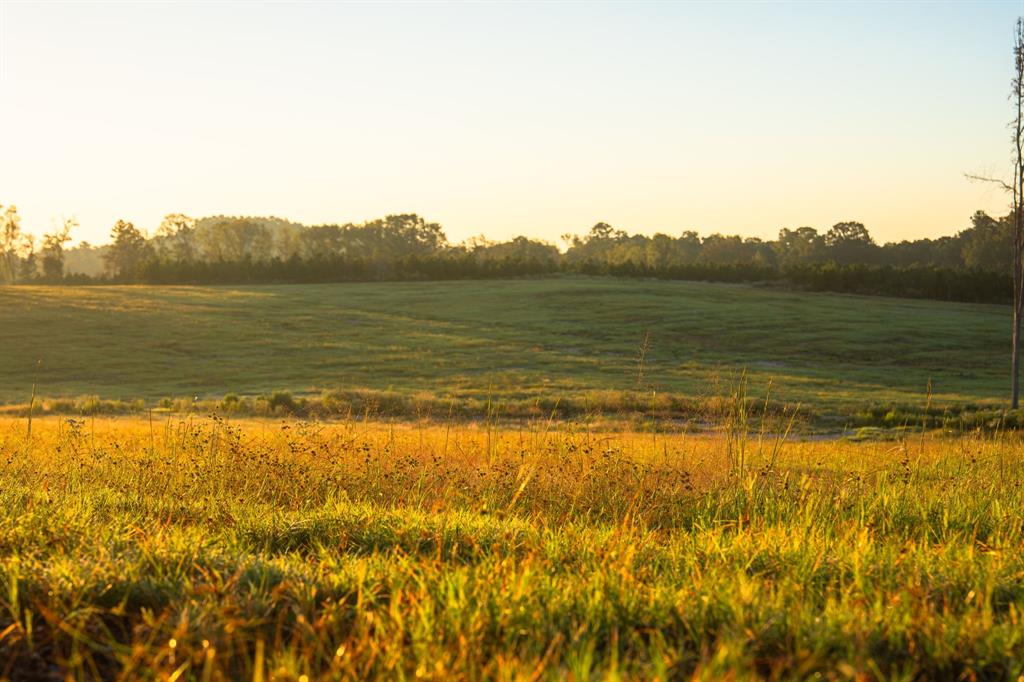 A100866 - A0866 G SLAUGHTER - Farm