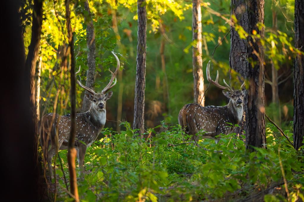 10326 County Road 3112 N