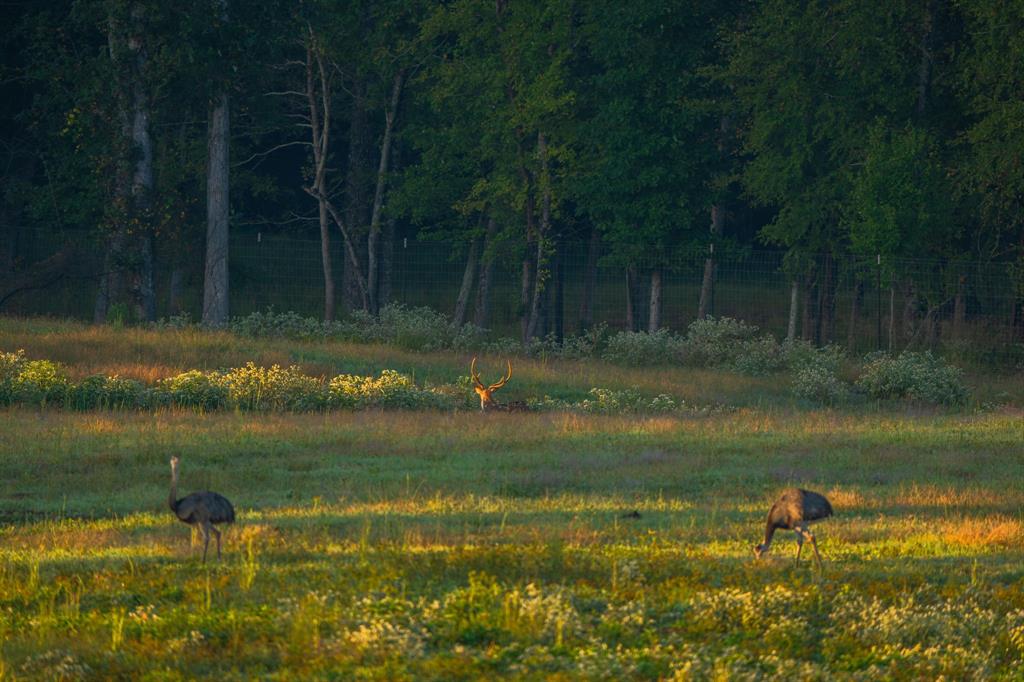 A100866 - A0866 G SLAUGHTER - Farm