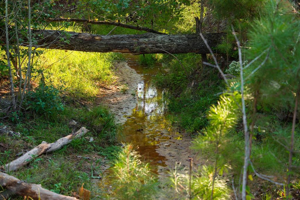 A100866 - A0866 G SLAUGHTER - Farm