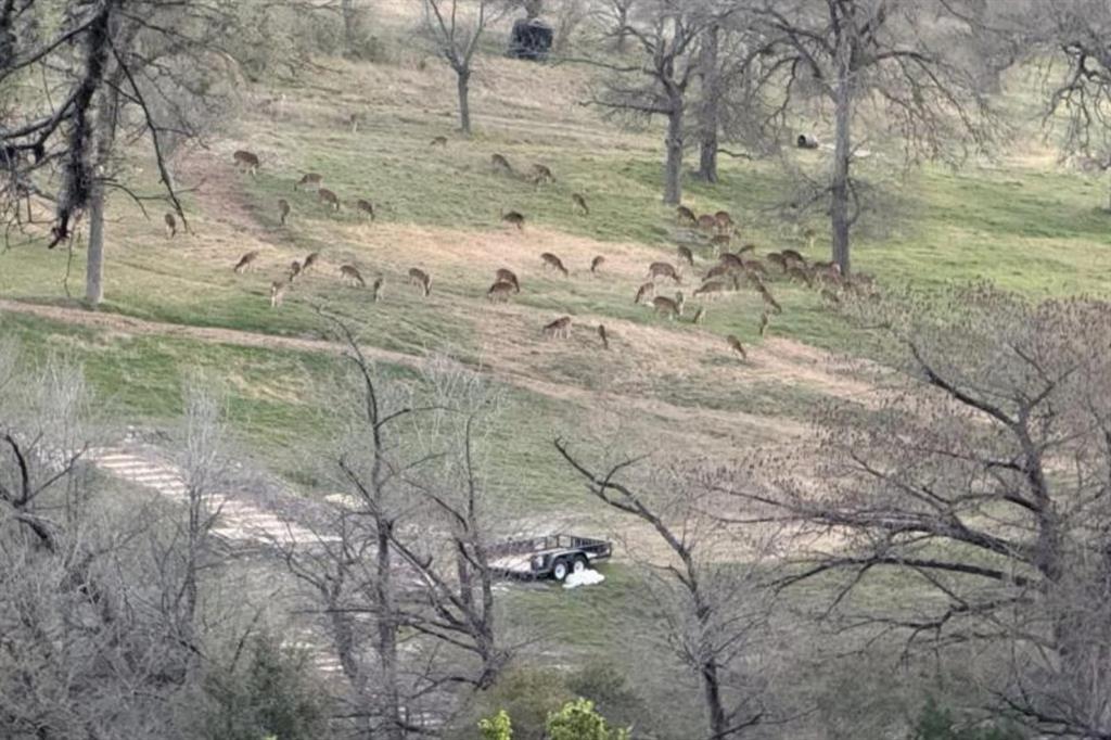 The Crossing - Residential