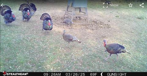 TBD County Road 154 Breckenridge TX 76424