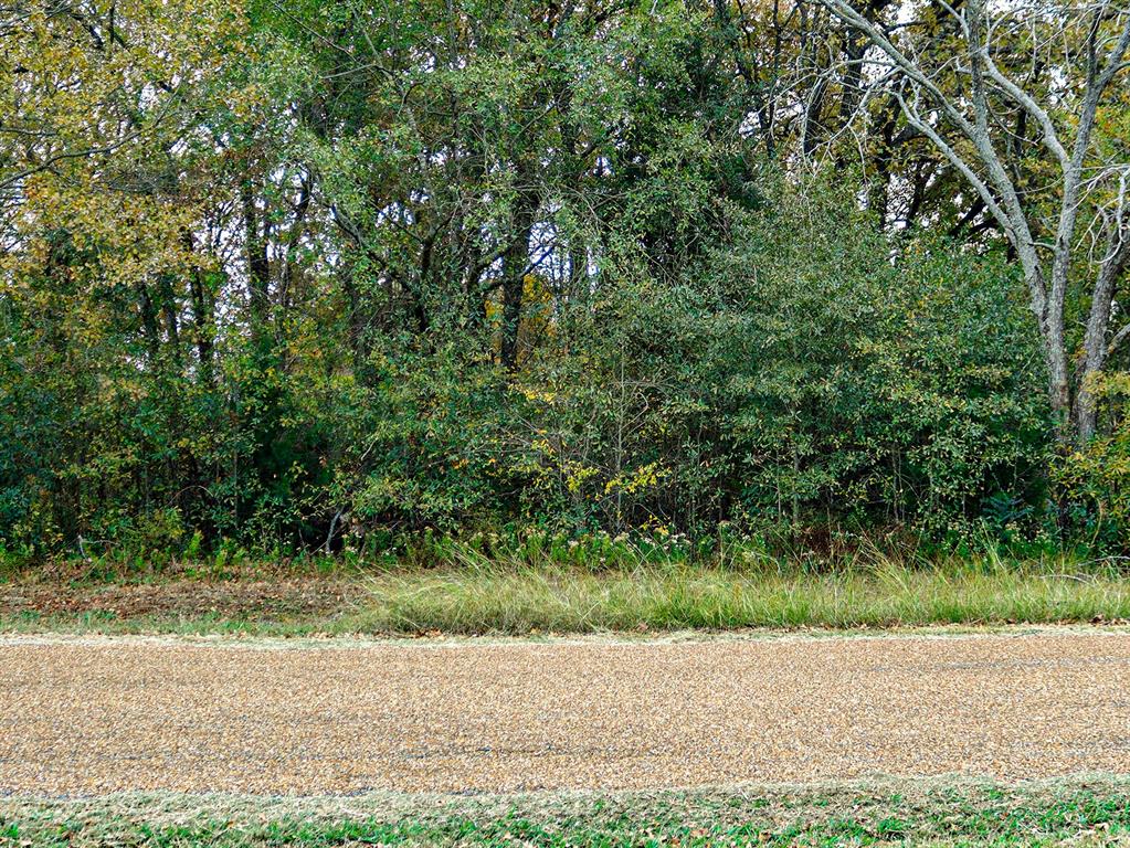 Seis Hombres Estates - Land