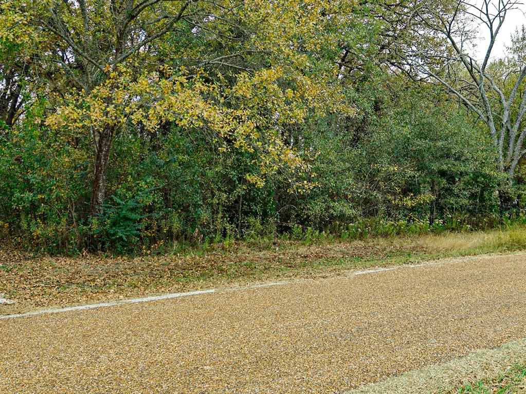 Seis Hombres Estates - Land