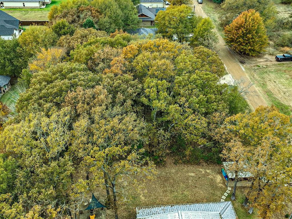 Seis Hombres Estates - Land