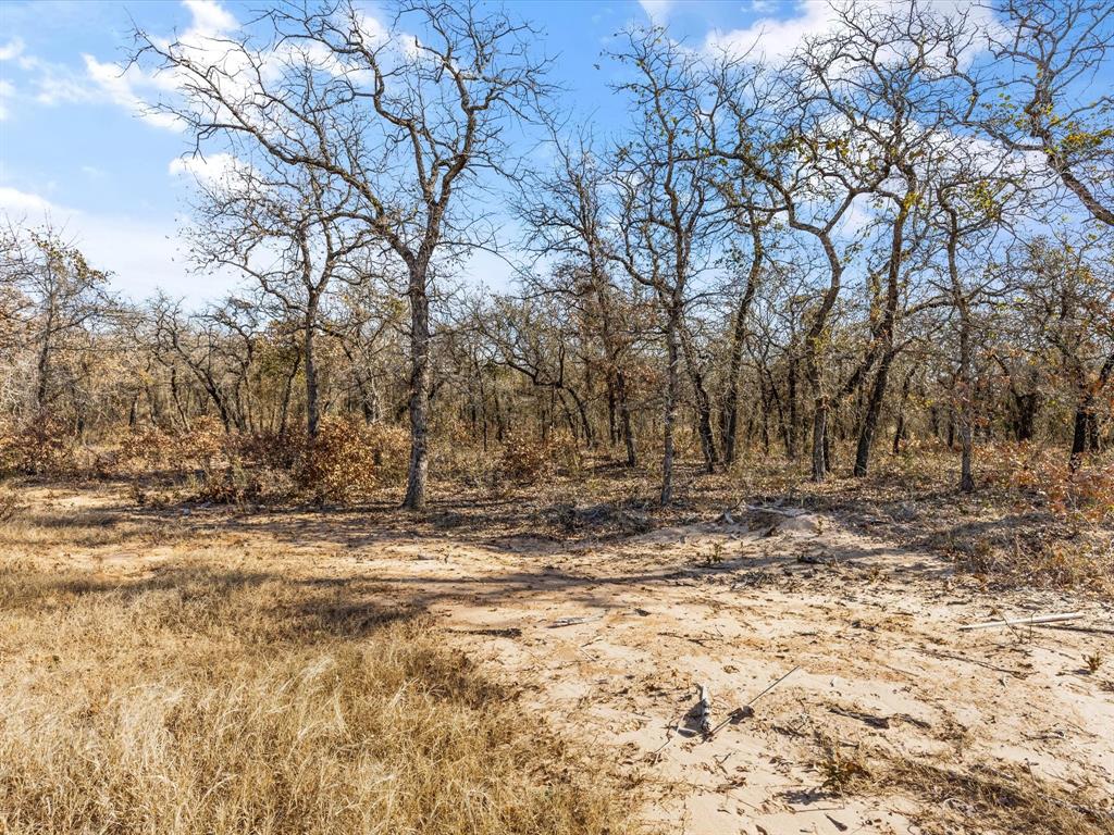 Bella Oaks Add Ph 2 - Land