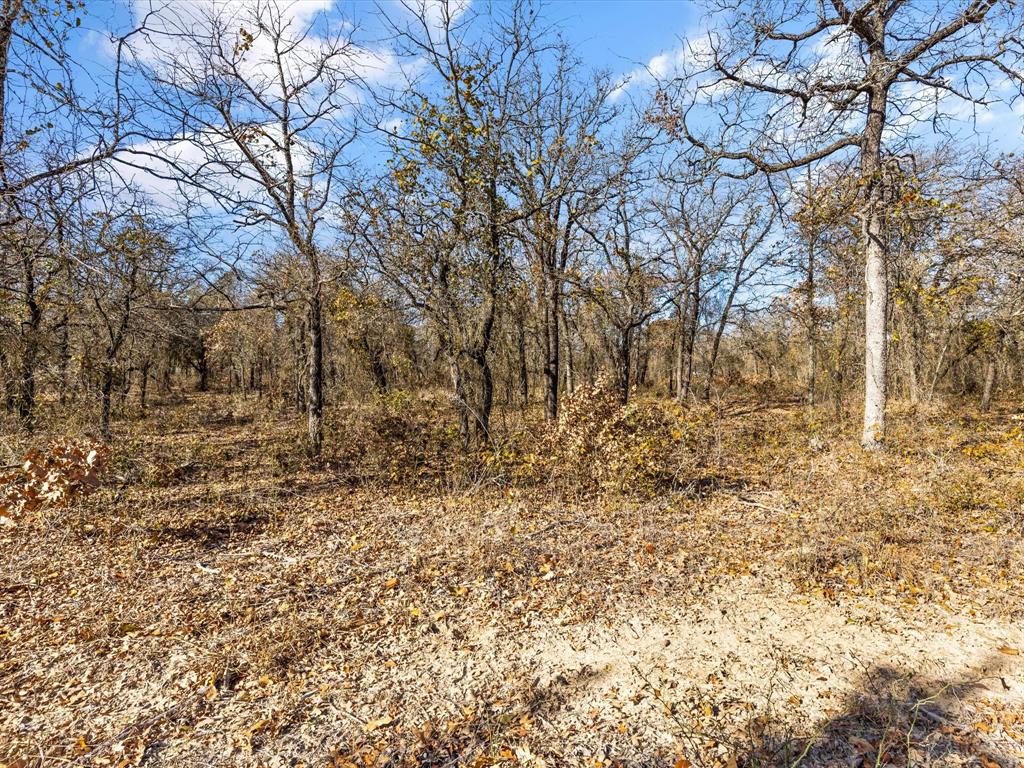 Bella Oaks Add Ph 2 - Land