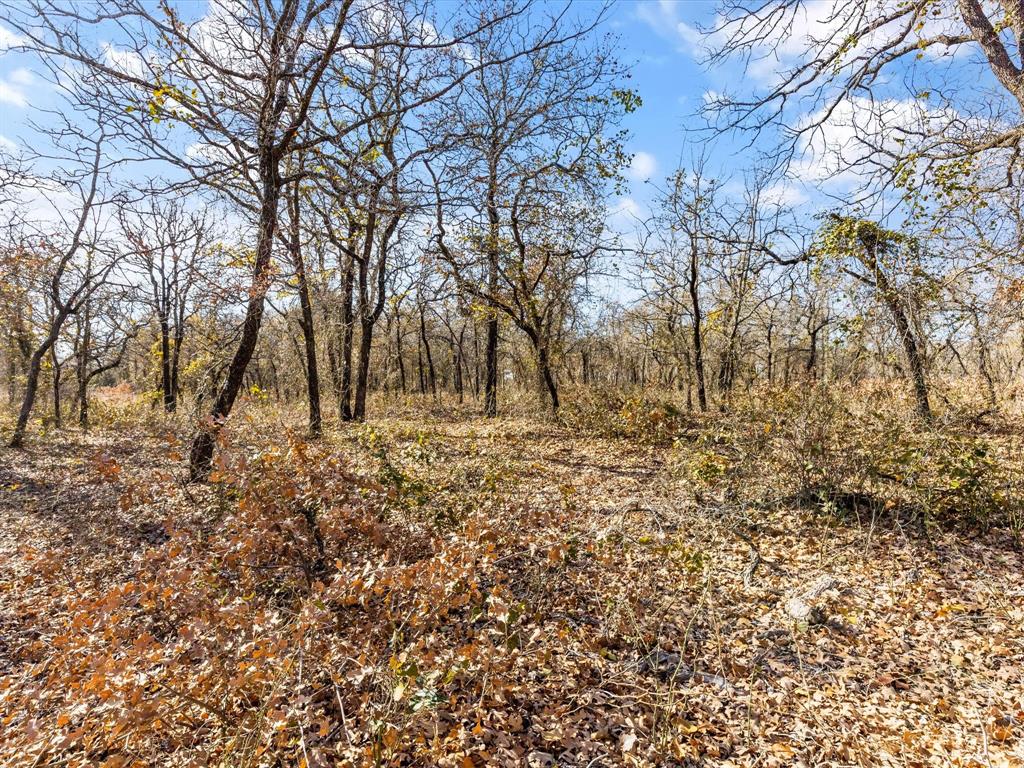 Bella Oaks Add Ph 2 - Land