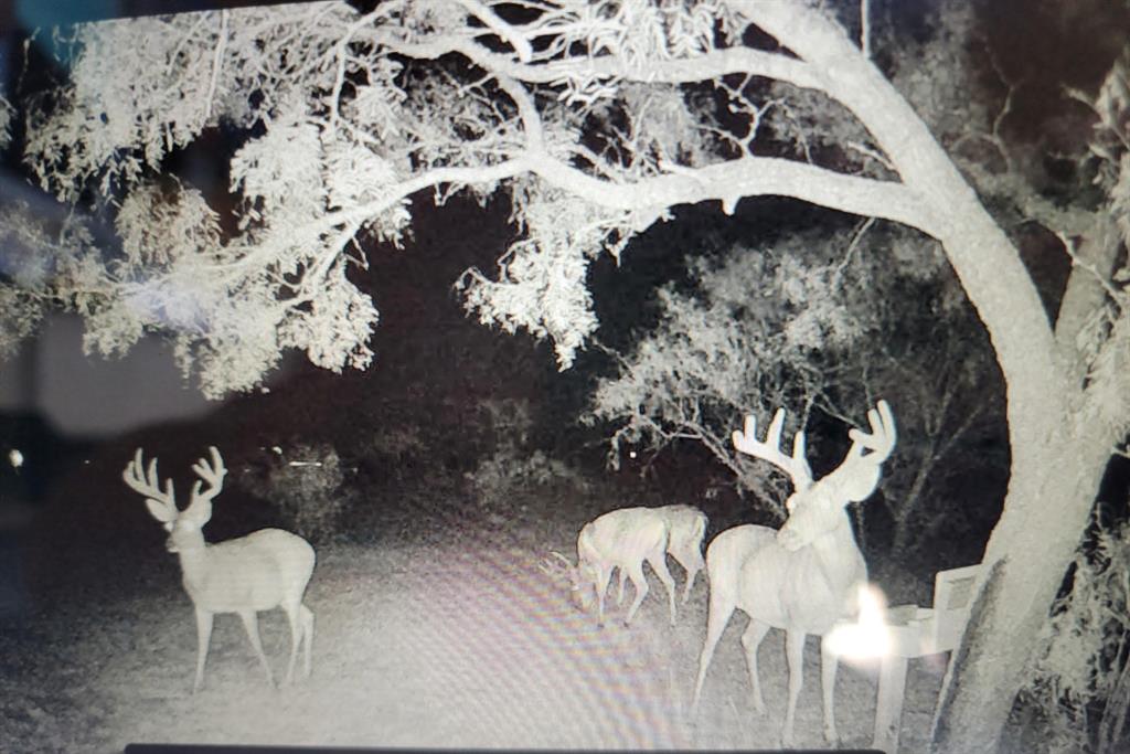 Mesquite Ridge - Residential