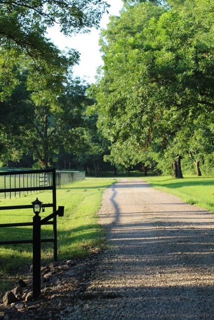 JESSE SHELTON - Residential